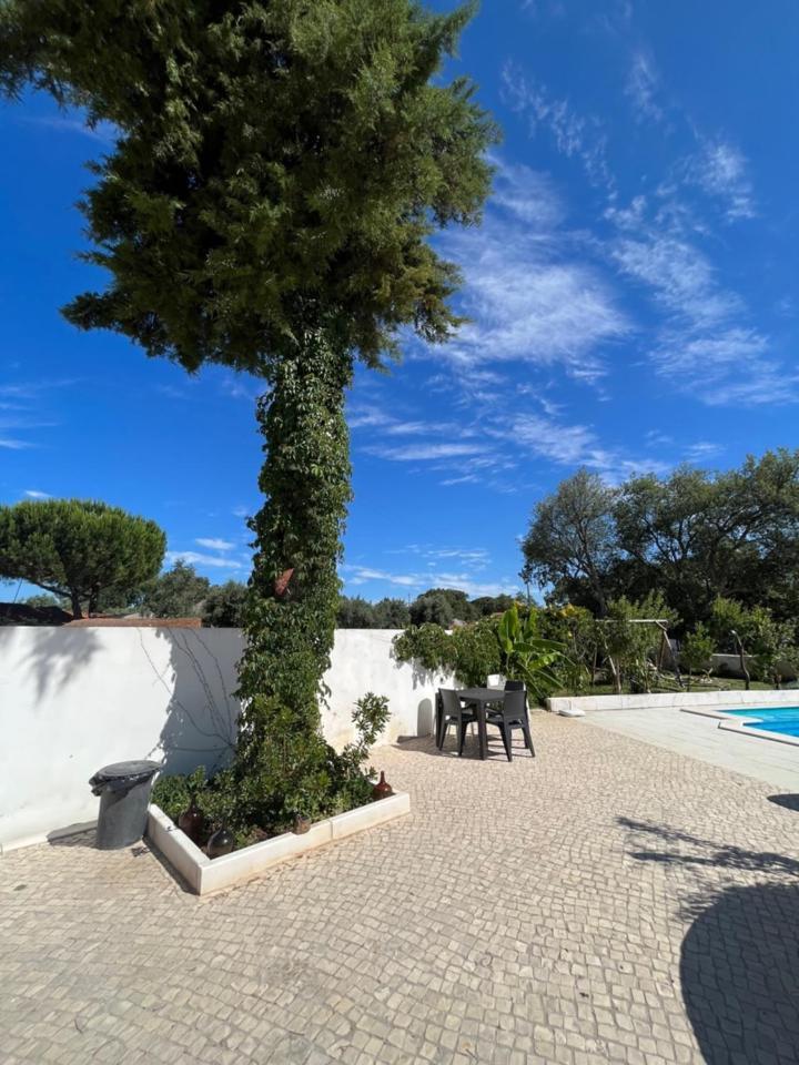Casa Do Cedro No Campo Holiday home