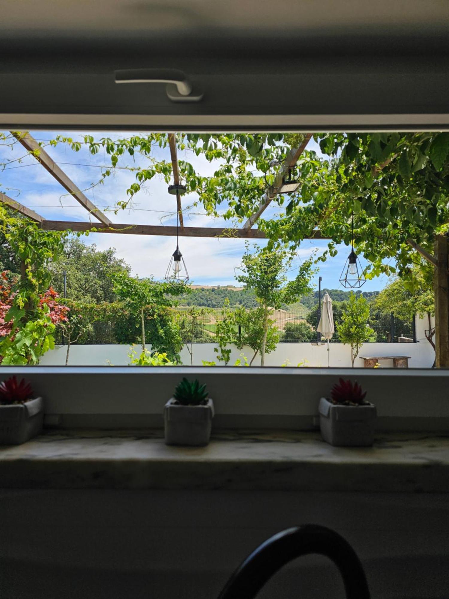 Holiday home Casa Do Cedro No Campo *